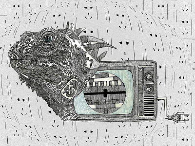 illustration x Lizard illustration