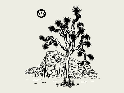 Evolv Joshua Tree illustration joshua tree jtree print design rock climbing