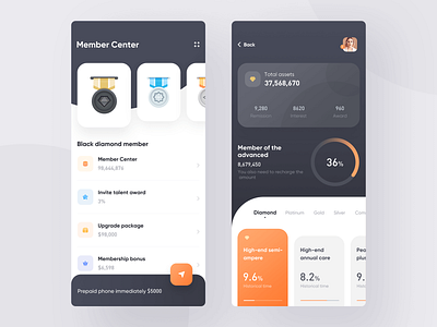 member financial interfacial design financial interface member centre ui