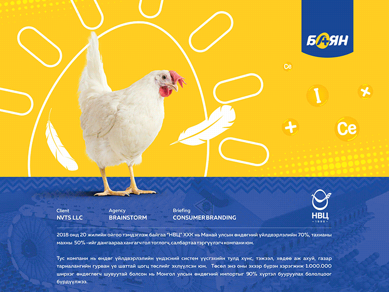 EGG (Bayan) branding chicken egg isometric packaging