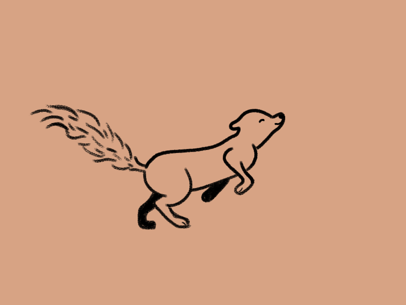 The quick brown fox animal animals animation cartoon character cute flat fox fox illustration frame frame by frame framebyframe illustration line mascot minimal mograph motion simple vector