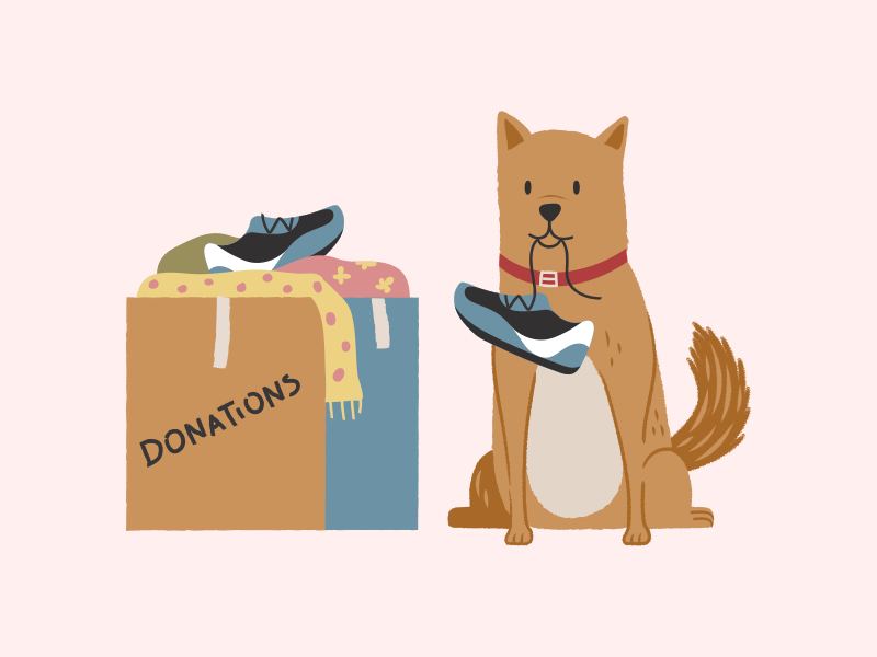 Donation Dog