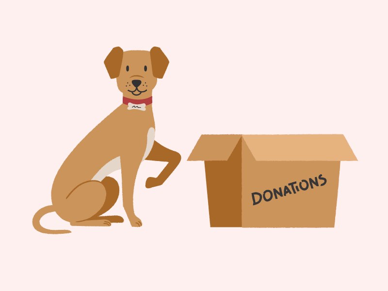 Donation Dog - Update dog illustration dog pet app pets pet animal illustration animal art animals animal app website animation character vector illustration ui ux flat simple minimal