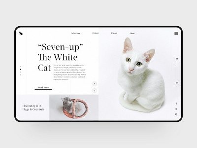 The White Cat animal cat cute design elegant fashion lovely simple visual web web design