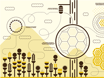 Bee Educated honey illustration