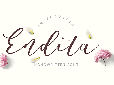 Endita Handwritten Font calligraphy download font font duo lettering script typeface