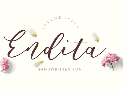 Endita Handwritten Font calligraphy download font font duo lettering script typeface