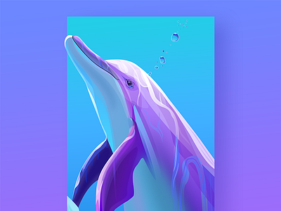 Dolphin illustration app illustration mobile ui ux