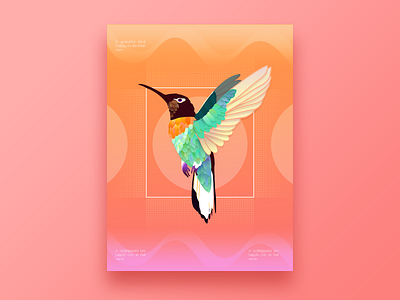 Elegant bird anano app concise design illustrator mobile ui ux visual web