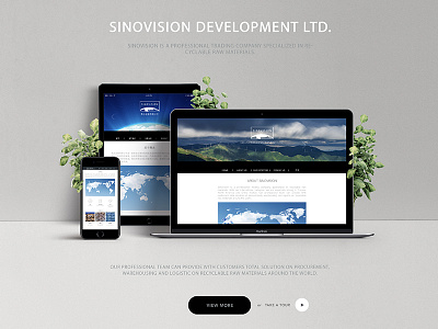SINOVISION DEVELOPMENT LTD. design web