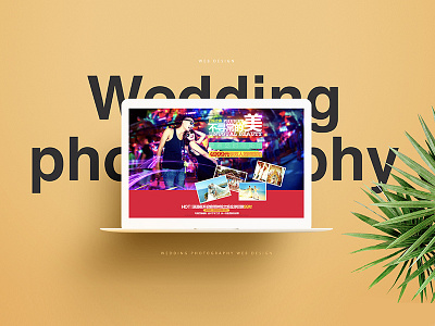 Wedding photography design web
