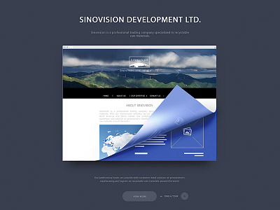 SINOVISION DEVELOPMENT LTD. design web