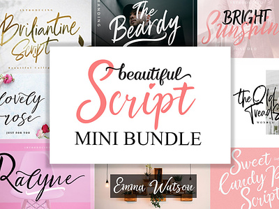 Beautiful Script Fonts Mini Bundle