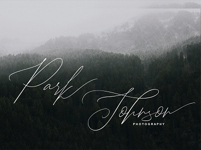 Park Johnson Branding Font brush calligraphy font handmade handwriting handwritten lettering logotype quotes script typefaces typography