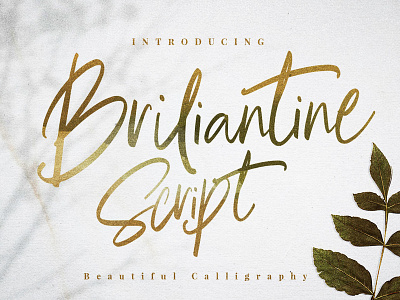 Briliantine Script bestseller blog branding calligraphy classy fashion fashionable floral girly handlettering handwritten logo logotype lovely modern signature sophisticated stylish swashes wedding