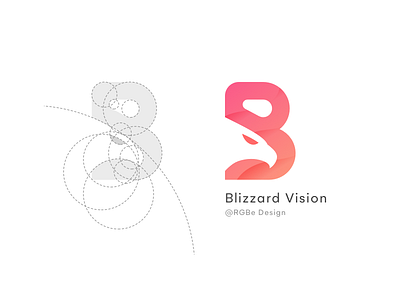 Blizzard Vison