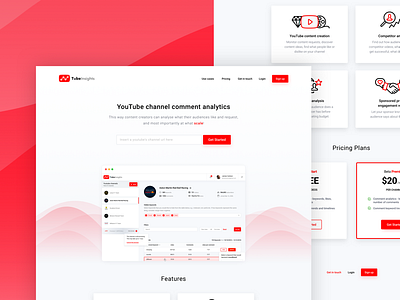 TubeInsights Landing