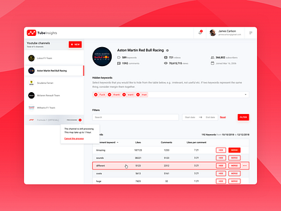 TubeInsights Dashboard