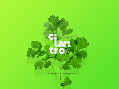 Cilantro Agency branding