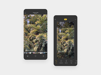Photo Gallery / Editor app color crop design edit editor gallery mobile photo photos ui ux video videos