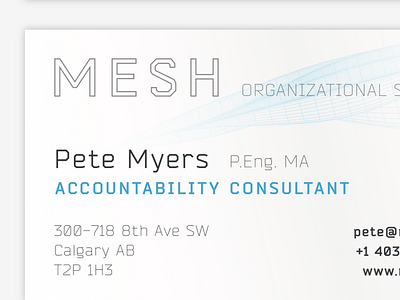 MESH business card brand business card identity logo typography wordmark