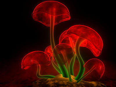 3D Mushroom Model 3d catching eye light maya mental model mushroom neon ray render texturing