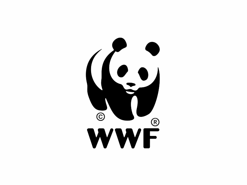 WWF Motion Graphics animations explainer videos gif motion graphics wwf