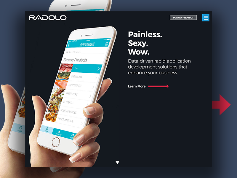 Radolo App Development New Orleans company mobile agency application web new orleans development app website