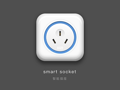 Socket