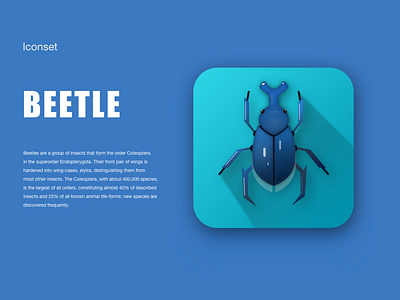 Beetle beetle design icon illustration ui