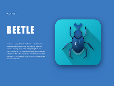 Beetle