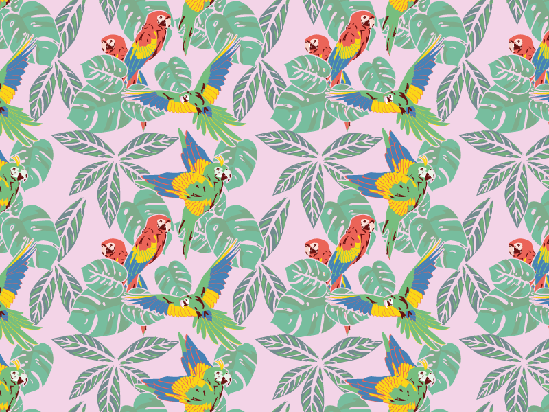 Macawzonia Aop Pattern By Diana On Dribbble 0912