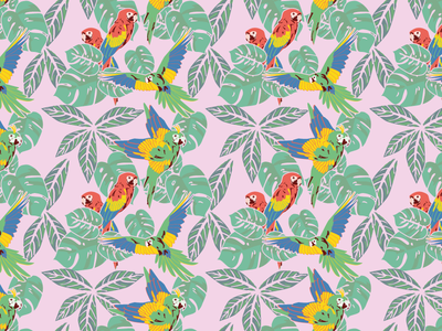 Macawzonia AOP Pattern