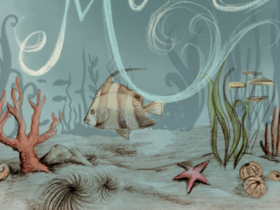 Title page illustration fish illustration nautical starfish