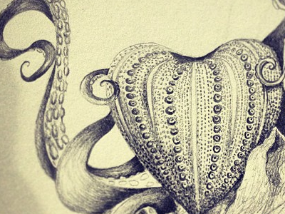 Sea Urchin Heart and Octopus heart nautical octopus sea storybook