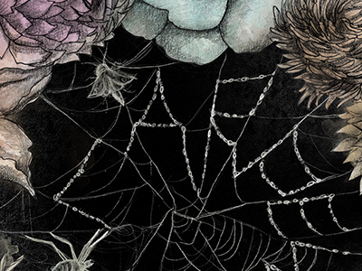 Carpe Diem florals graphite drawing illustration spiderweb