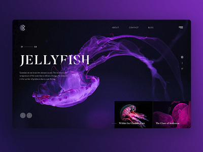 Jellyfish_layout design icon logo minimal travel typography ui ux web website