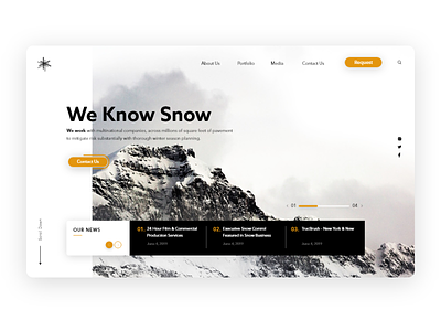 Snow_Control website concept