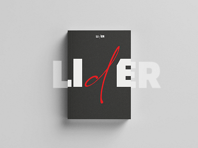 Lider Consulting Company brand communication branding design editorial graphic icon illustration logo minimalism typography