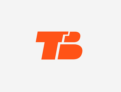 TB Brand Identity brand communication branding design editorial graphic icon illustration logo minimalism typography