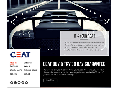 CEAT tyres