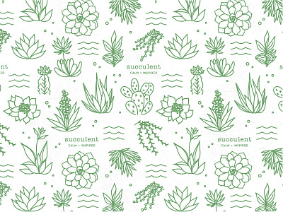 SUCCULENT PATTERN