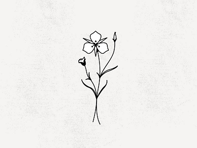 SEGO LILY flower hand draw icon sego lily wildflower wolf and wildflowers