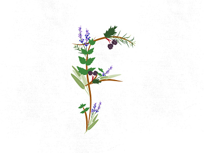 LETTER F berries branding flowers herbs icon letter f lettering