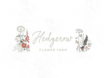 HEDGEROW FLOWER FARM berries hedgerow illustration lettering logo nature wildflowers wildlife