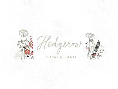 HEDGEROW FLOWER FARM