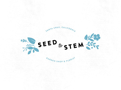 SEED TO STEM floral florist flower garden garden shop illustration logo seed stem