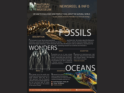 National History mueseum creatures dinasaurs infographic turtle
