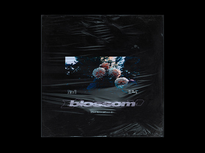 blossom // art artwork black blossom cd cd cover cover flowers package plastic type warp