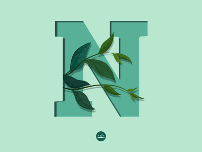 N letter leaves letter lettering nature typography